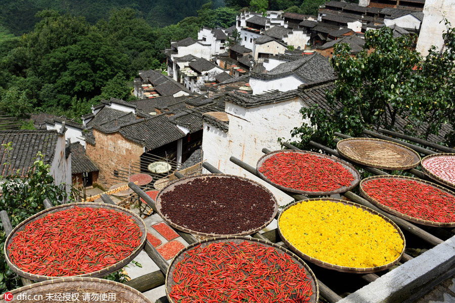 Wuyuan celebrates the Autumn Sun Cultural Festival