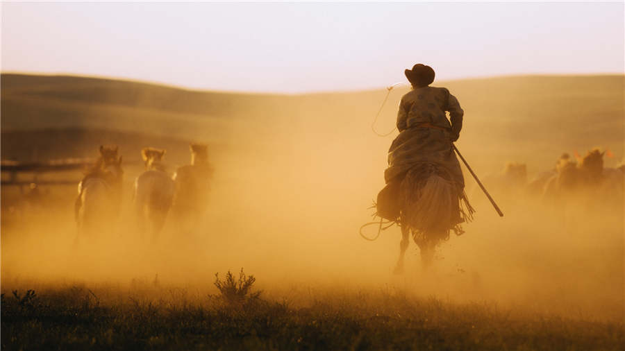 Photo exhibition offers glimpse of Chinese and Qatari cultures