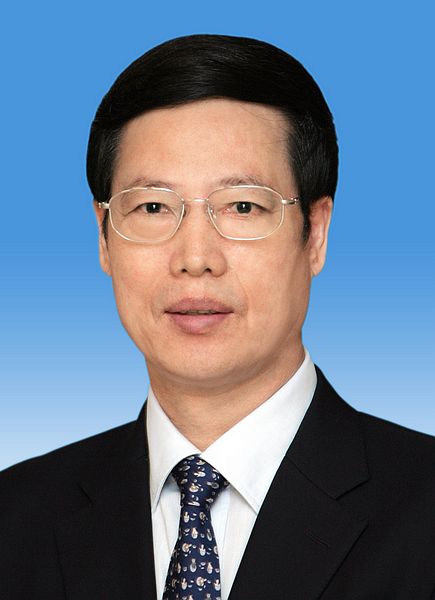 人代會決定國務院其他組成人員