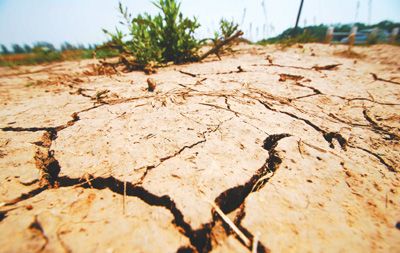 全國耕地受旱面積超1億畝