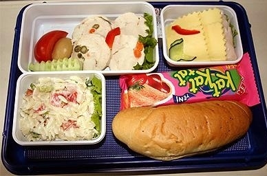 飛機(jī)餐也美味 實(shí)拍各國航空公司美味飛機(jī)餐
