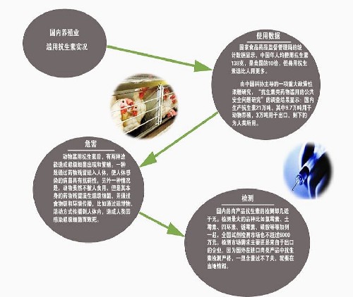 麥當勞承認采購六和雞 食藥監局將追查問責瞞報