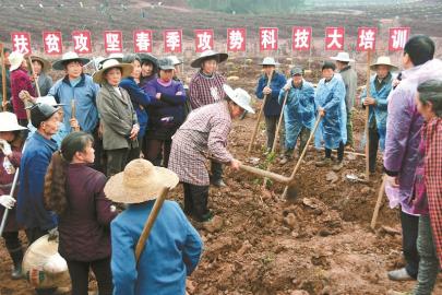探訪先行者 四川16個計劃摘帽縣取真經