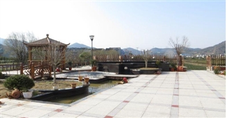 寧波一業主圈地500平方米違建私家花園 拆光花了4天