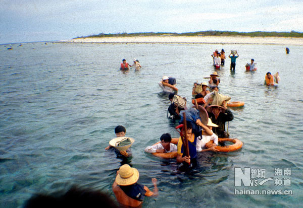 珍貴！1991年西沙科考海量歷史照