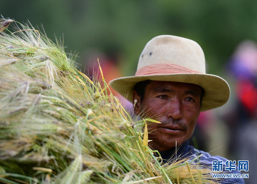昌都地震災區救災穩步推進