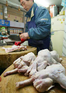 South Korea's bird flu spreading fast nationwide