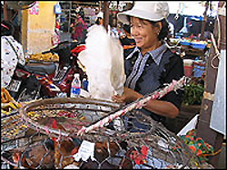 Nguyen Thi Anh sells poultry at the Tangh Kong Market in Hanoi. Many of the ducks and chickens sold there can carry the H5N1 bird flu virus without showing symptoms. Health experts worry that mixing species "silently" spreads the virus. [NPR]