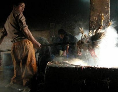 A worker dunks a slaughtered chicken into hot water at a poultry market in Nanjing