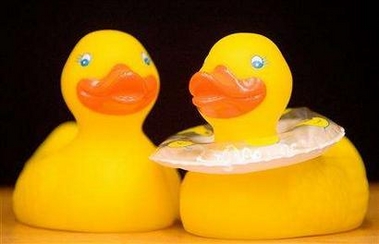 Rubber ducks from environmental group National Environmental Trust are handed out to delegates in response to comments by U.S. chief negotiator Harlan Watson during The United Nations Climate Change Conference in Montreal December 9, 2005. Watson, who left negotiation talks overnight, was quoted as saying 'If it looks like a duck, quacks like a duck, walks like a duck then it is a duck.' 