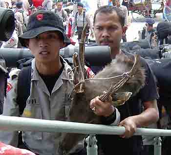 An Indonesian policeman carries the head of a deer as he boards a navy ship at Krueng Geukeuh port in Lhokseumawe January 5, 2006.