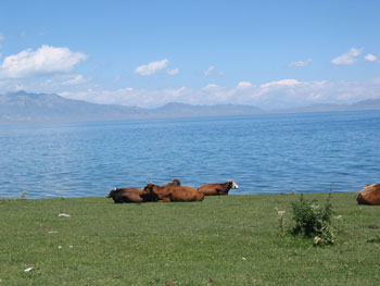 Sarim Lake in Xinjiang