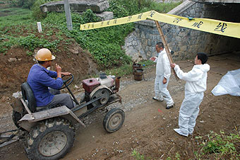 Official: No signs of bird flu spreading