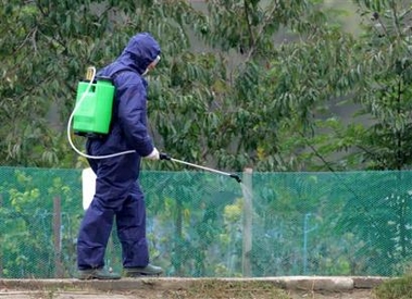 Romania culls poultry as EU braces for bird flu