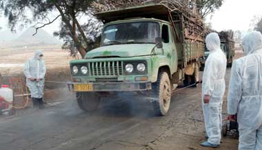 China declares victory in bird flu fight