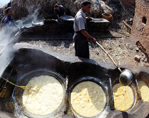 Sweet sweat of making sugar