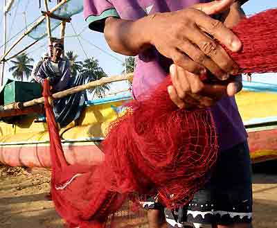 Tsunami inflicts havoc on fisheries