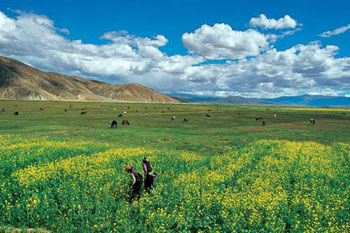 Photo show unveils beauty of Tibet