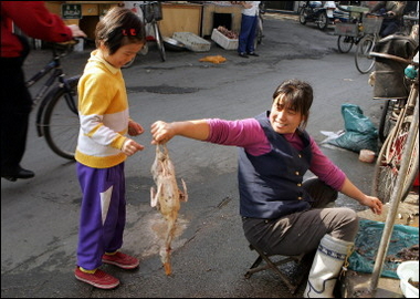 China's capital steps up bird flu surveillance