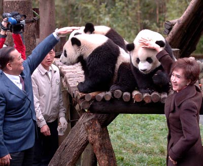 Lien Chan visits Wolong giant panda research center