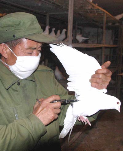 China to call for bird flu cooperation at APEC