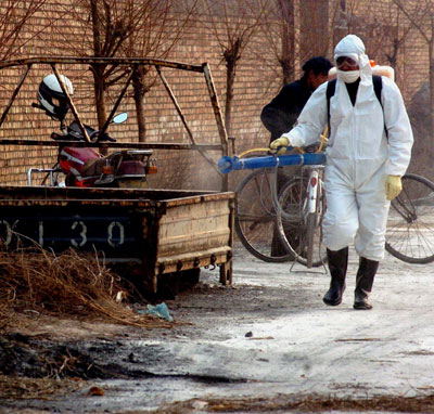 China tightens bird-flu measures further