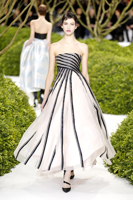 Paris Fashion Week S/S 2013: Dior