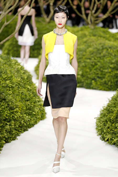 Paris Fashion Week S/S 2013: Dior