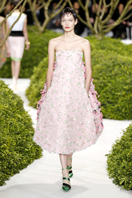 Paris Fashion Week S/S 2013: Dior