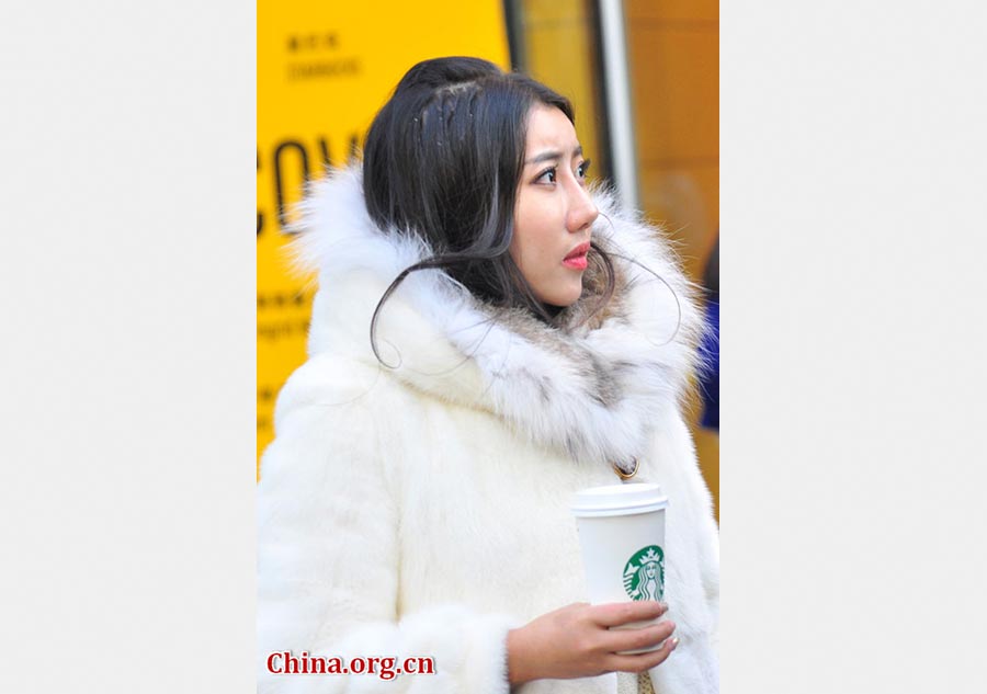 Beijing Style: Furry season