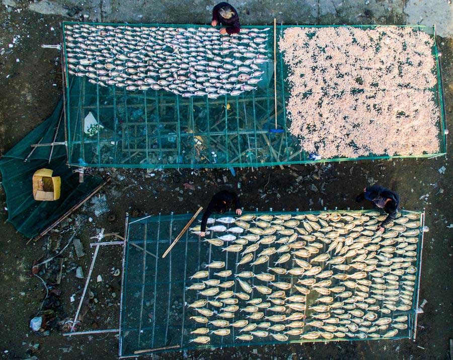 Fishermen air-dry delicacies in winter sunshine