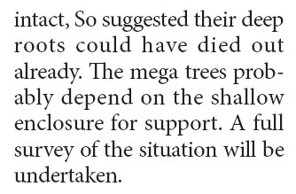 Negligence blamed for tree collapse