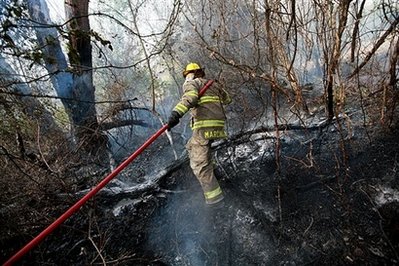 美國數(shù)州遭野火和龍卷風(fēng)襲擊 百余人傷亡