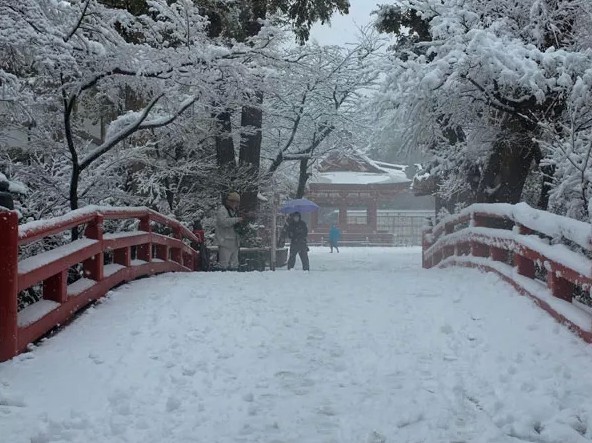 日本遭嚴重暴風雪襲擊 19人死亡1600多人受傷