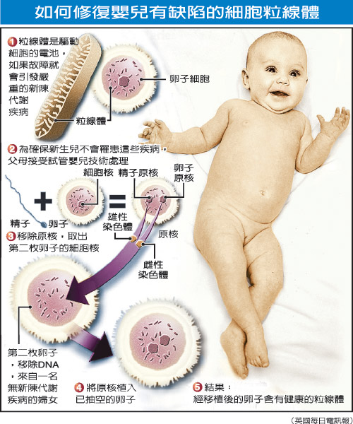 三個爹娘一個娃？英或允“三合一”胚胎技術用于臨床治療
