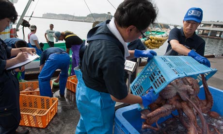 日本福島未來10年無魚可吃？最新研究發現附近四成魚放射性超標