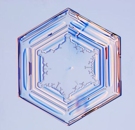 怎一個美字了得！美國科學家帶你圣誕看雪花(圖)