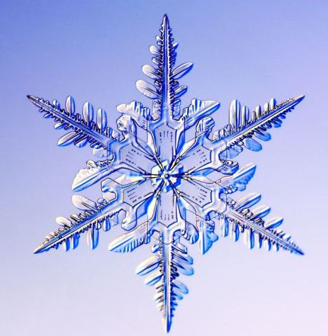 怎一個美字了得！美國科學家帶你圣誕看雪花(圖)