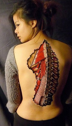 膽小勿看！ 藝術家?guī)?#8220;撕裂”人體看個究竟
