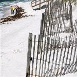 Florida tourists undaunted by oil spill tar balls