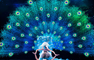 Silk Road experience inspires dance like the wind