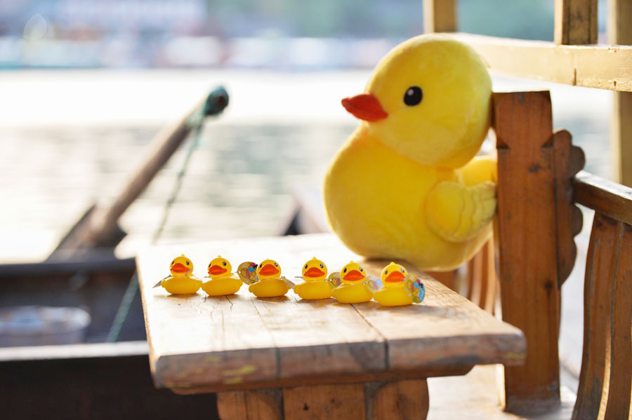 Giant yellow duck coming to Beijing