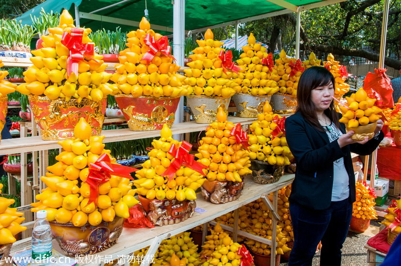 Shenzhen Spring Festival flower fair opens