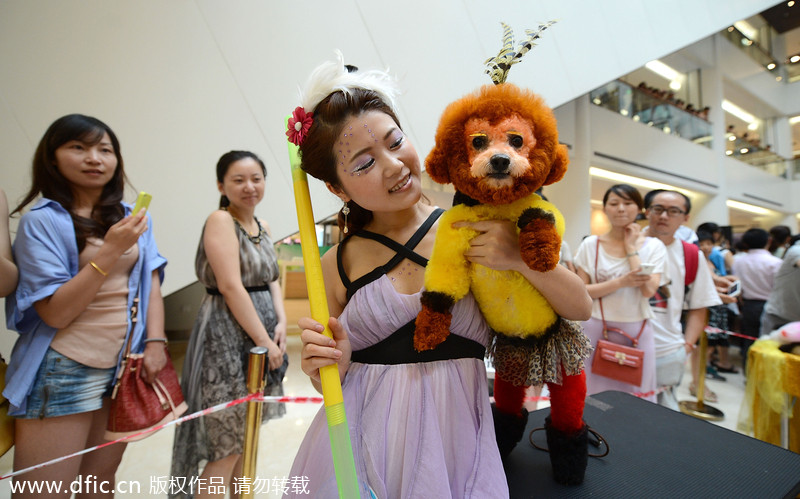 Pets have their own fashion show