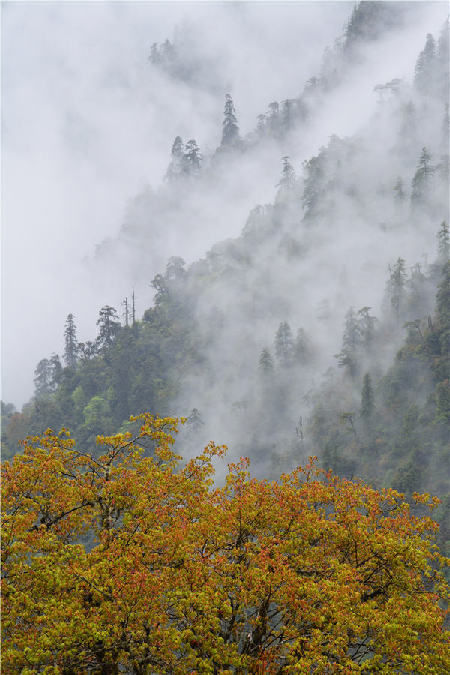 Preserving Dulong River valleys