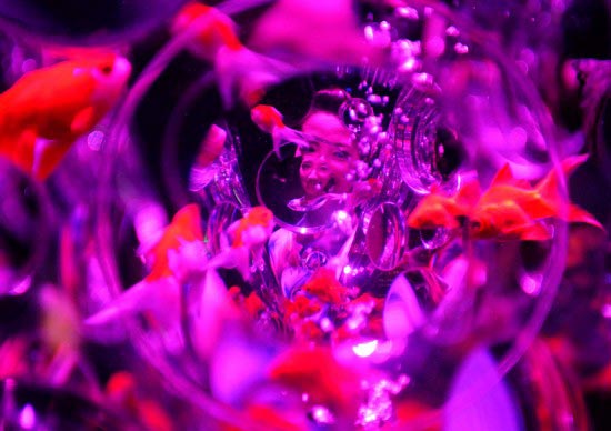 Tokyo exhibition features 5,000 goldfish