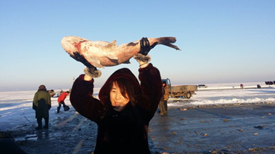 Celebrating traditional winter fishing on Chagan Lake