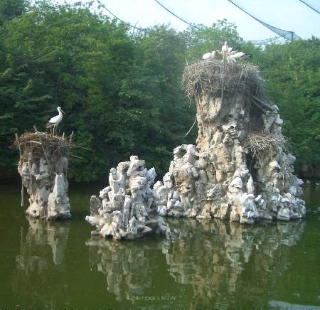 Hefei Wildlife Zoo