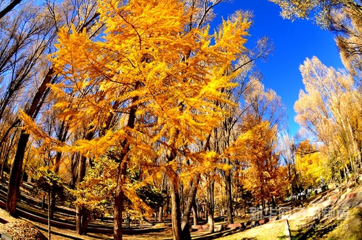 Picturesque scenes from NW China