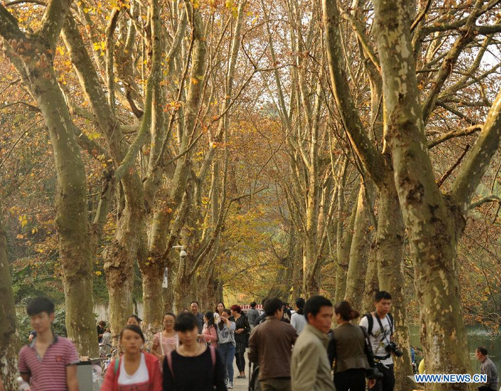 Autumn scenery of Pingqiao scenic spot in Guiyang